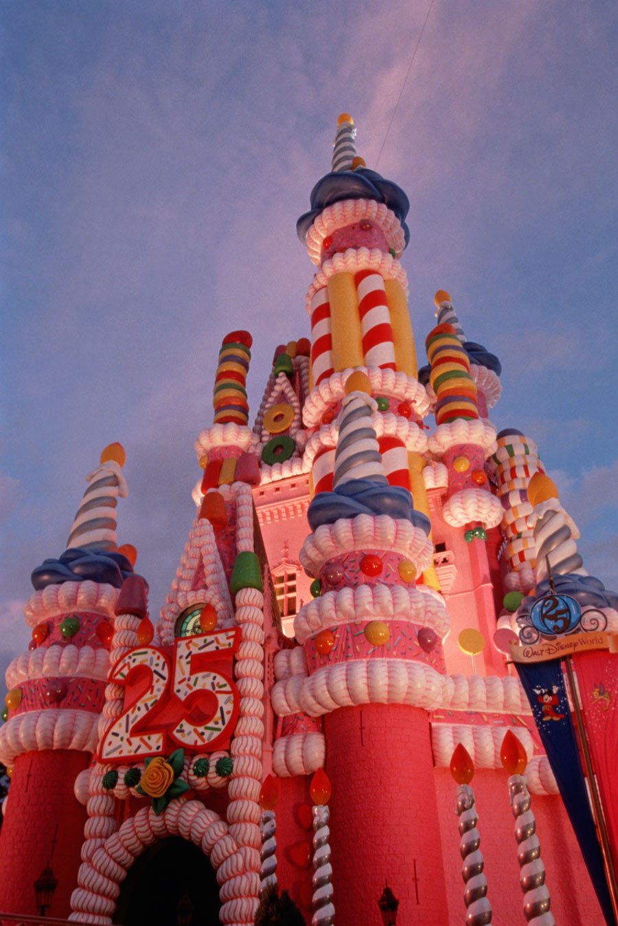 Walt Disney World Castle 25th Anniversary Cake