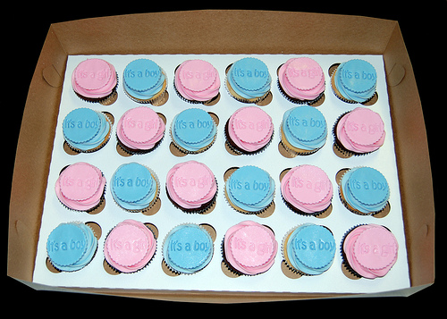 7 Boy Girl Twin Baby Shower Cupcakes Photo Twins Baby Shower