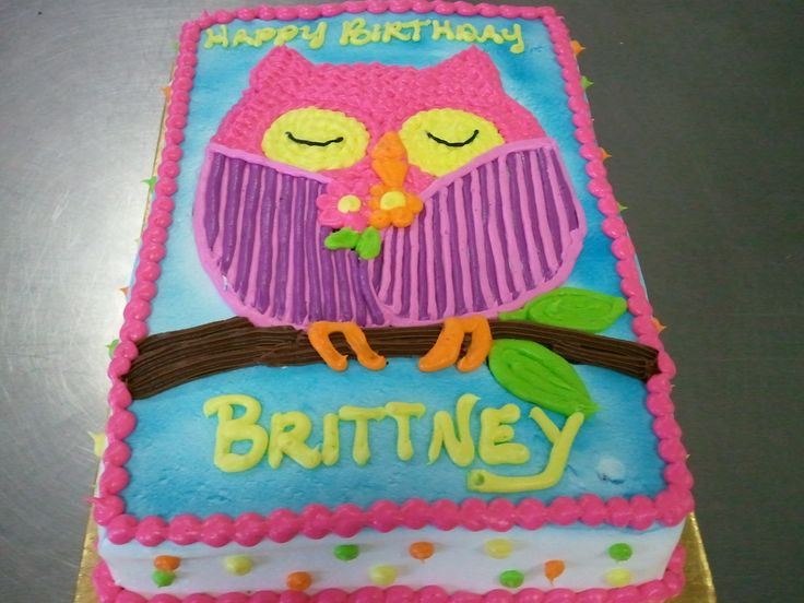 Owl Sheet Cake