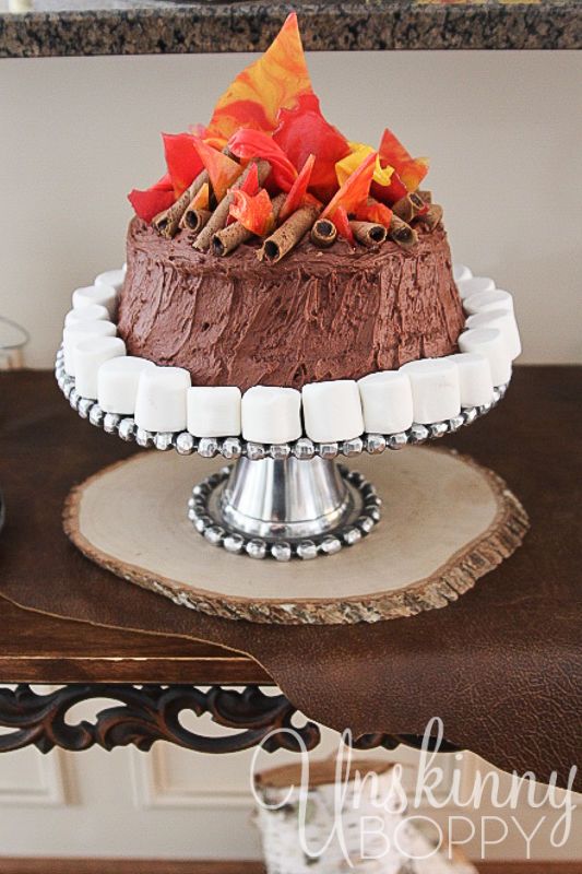 Campfire Birthday Cake Idea