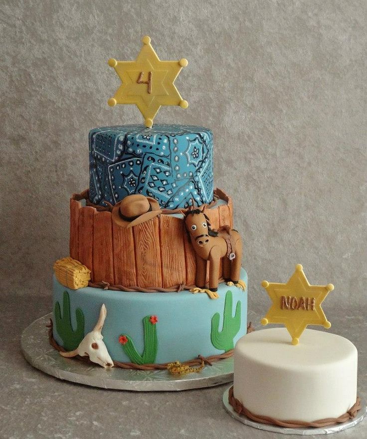 Western Themed Cake