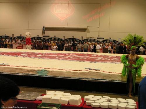 World's Largest Birthday Cake