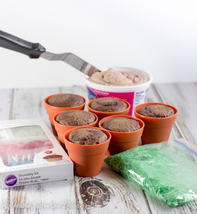 Baking Cupcakes in Flower Pots