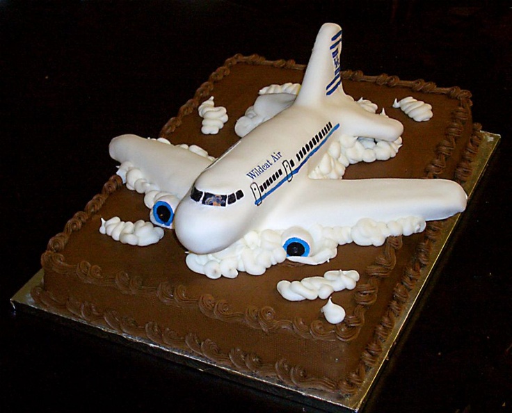 Airplane Grooms Cake