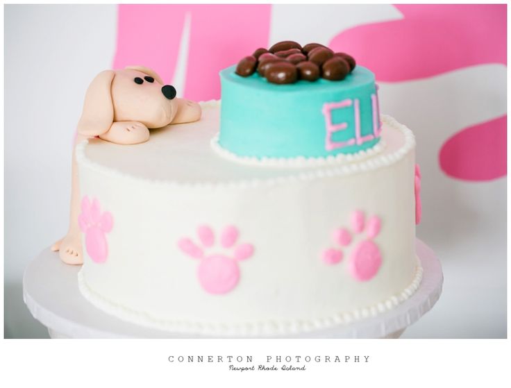 Birthday Cake Themes for Girls