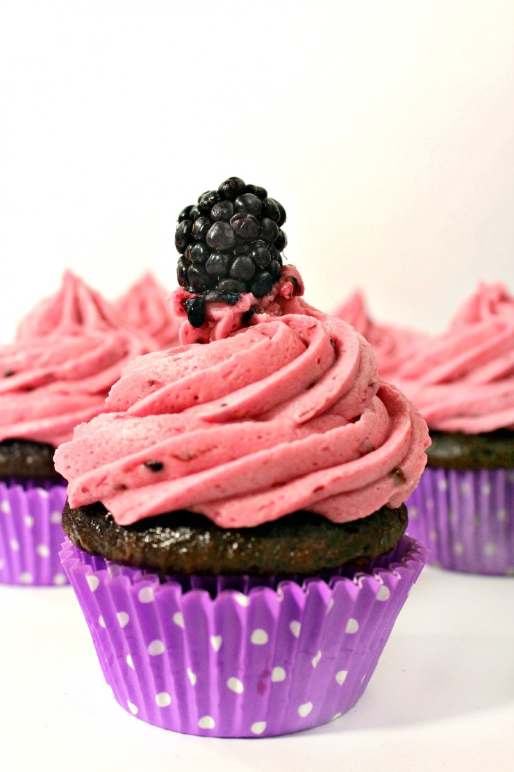 Chocolate Cupcakes with Fruit Recipe