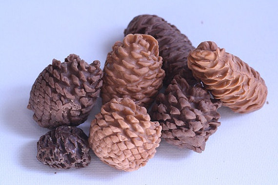 Edible Pine Cones for Cake Decorating