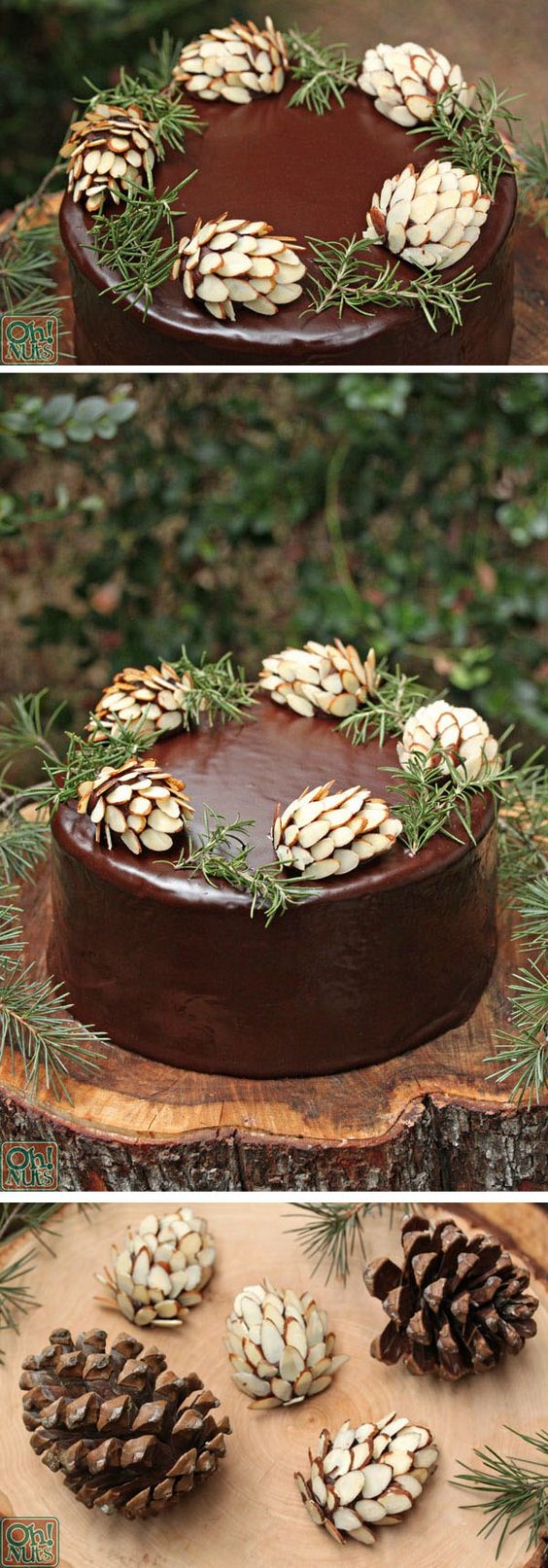 Pine Cone Chocolate Cake