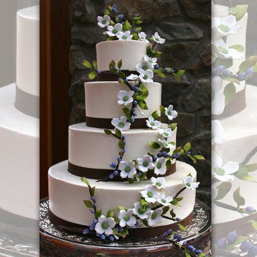 9 Elegant Wedding Cakes With Vines Photo Vine Garden Wedding