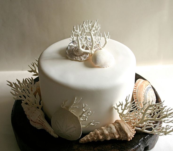 11 Edible Seashells For Cakes Photo Edible Seashells Cake