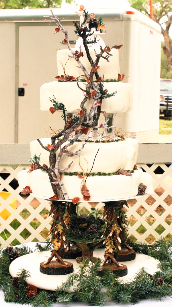 12 Redneck Themed Wedding Cakes Photo Redneck Wedding Cake Ideas