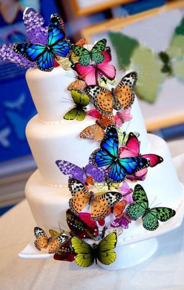 8 Photos of Kroger Decorated Cakes Butterfly