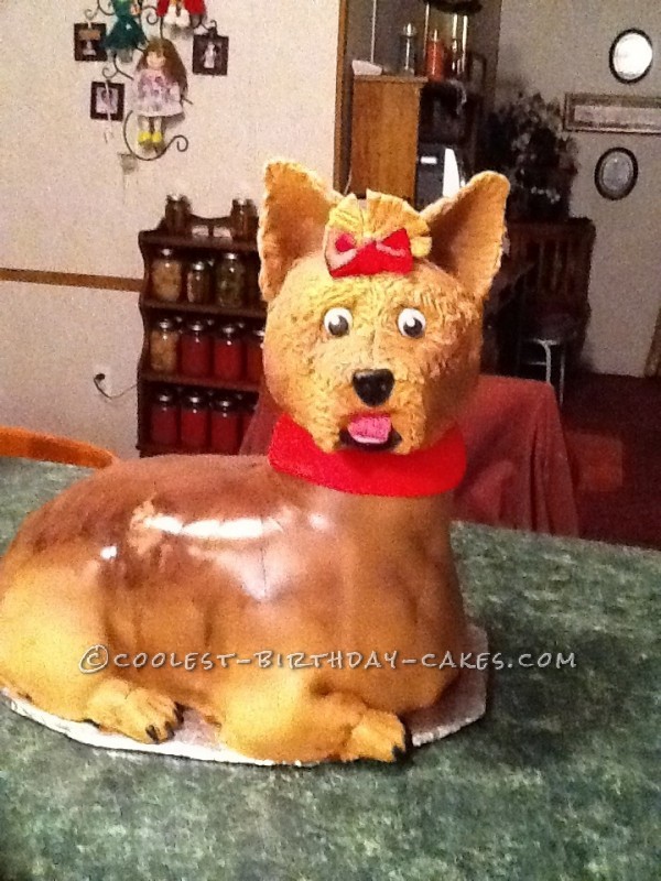 Cool Dog Birthday Cake