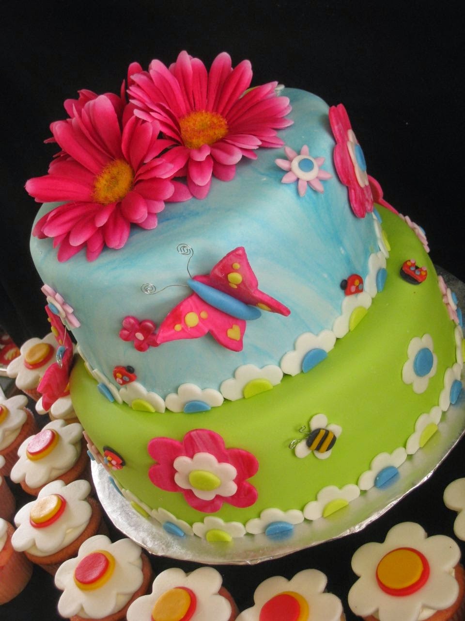 Girls Butterfly Birthday Cake