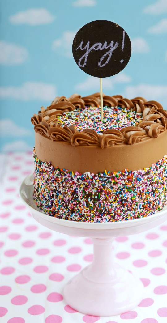 Chocolate Sprinkle Cake