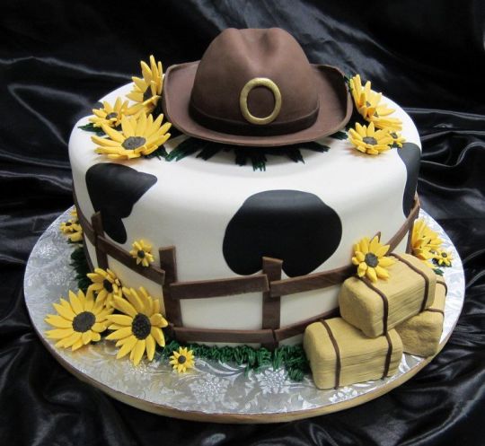 Country Western Themed Birthday Cakes