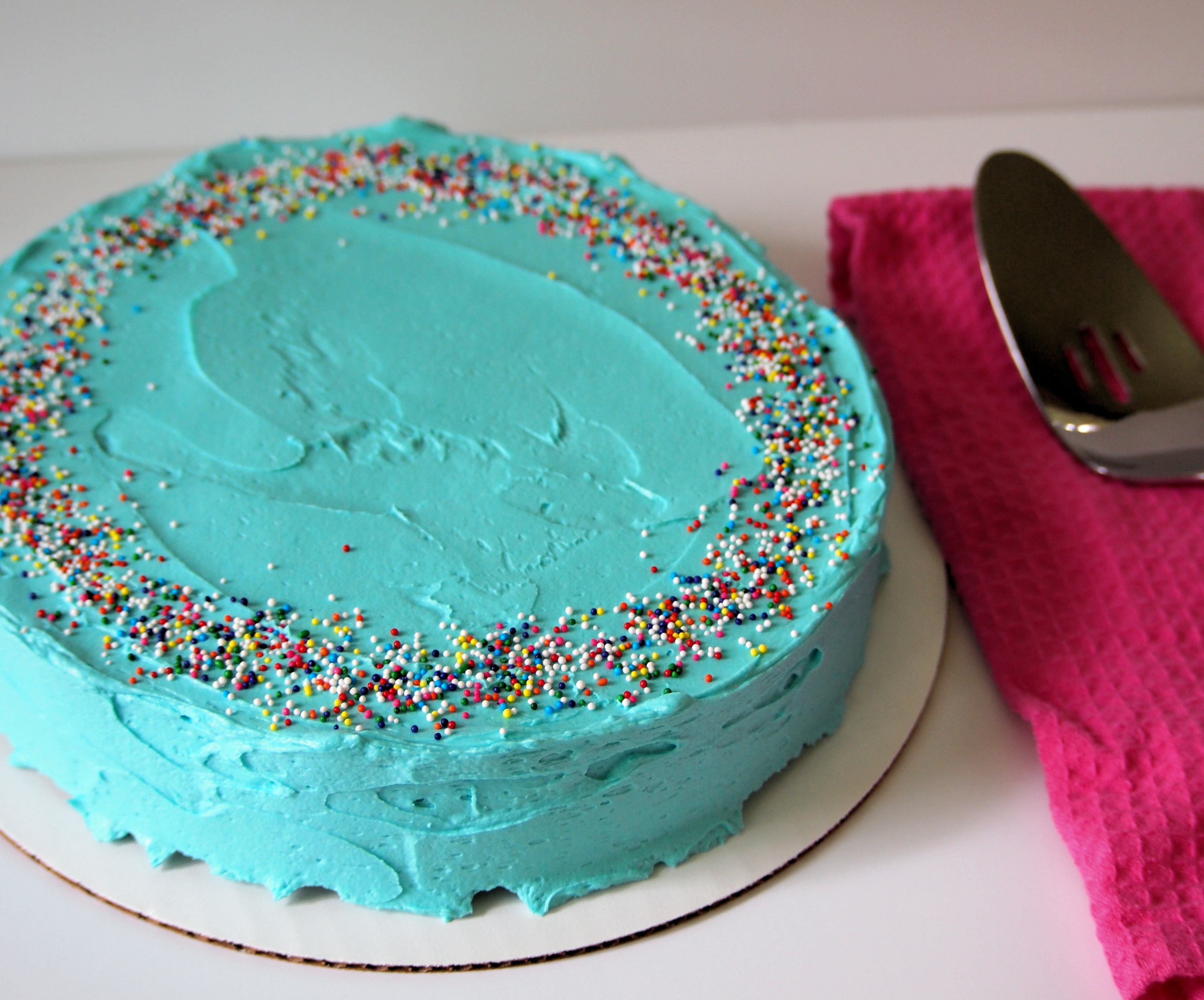 11 Photos of Cutup Homemade Birthday Cakes