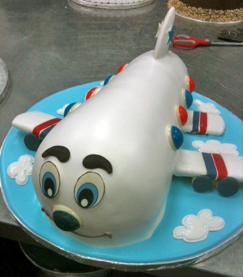 Airplane Birthday Cake Ideas