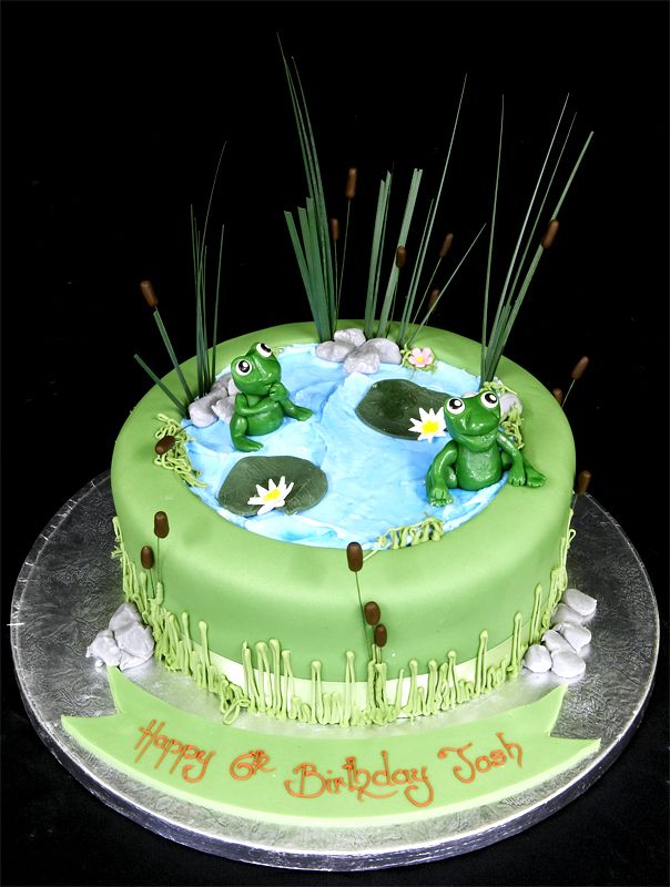 Frog Pond Birthday Cake