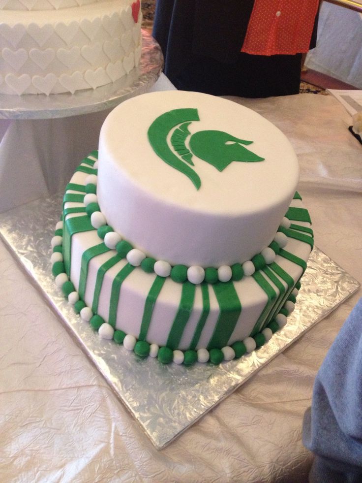 Michigan State Birthday Cake