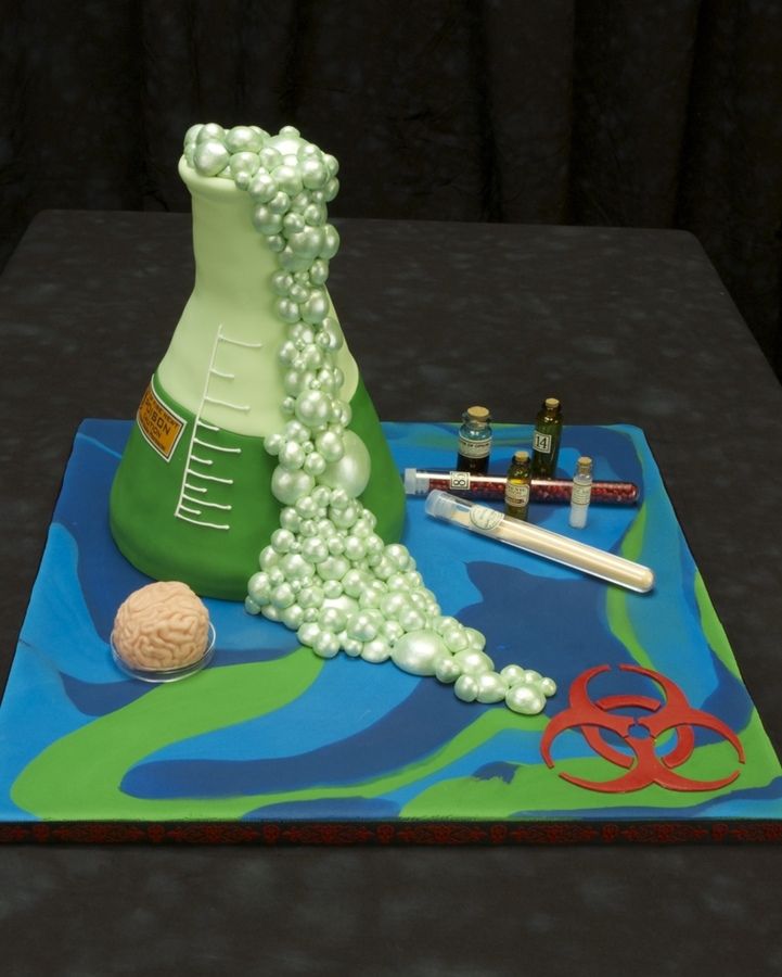 12 Photos of Decoratated Science Cakes