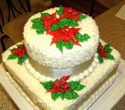 Christmas Cake Decorating Ideas