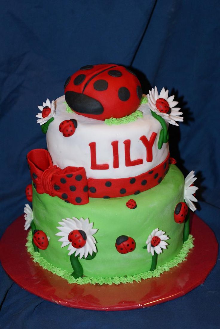 Ladybug Birthday Cake