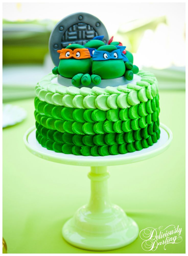 Teenage Mutant Ninja Turtles Birthday Cake