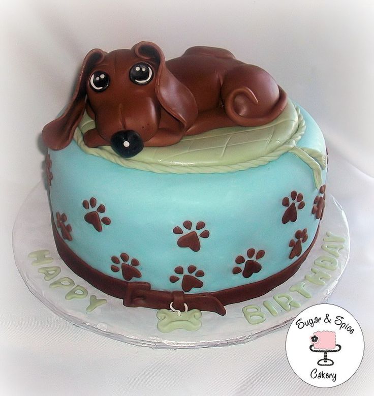 Dachshund Birthday Cake