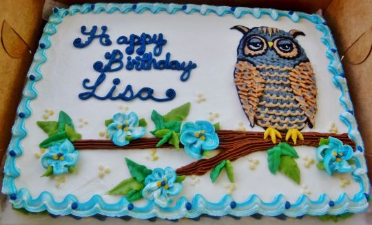 Owl Sheet Cake