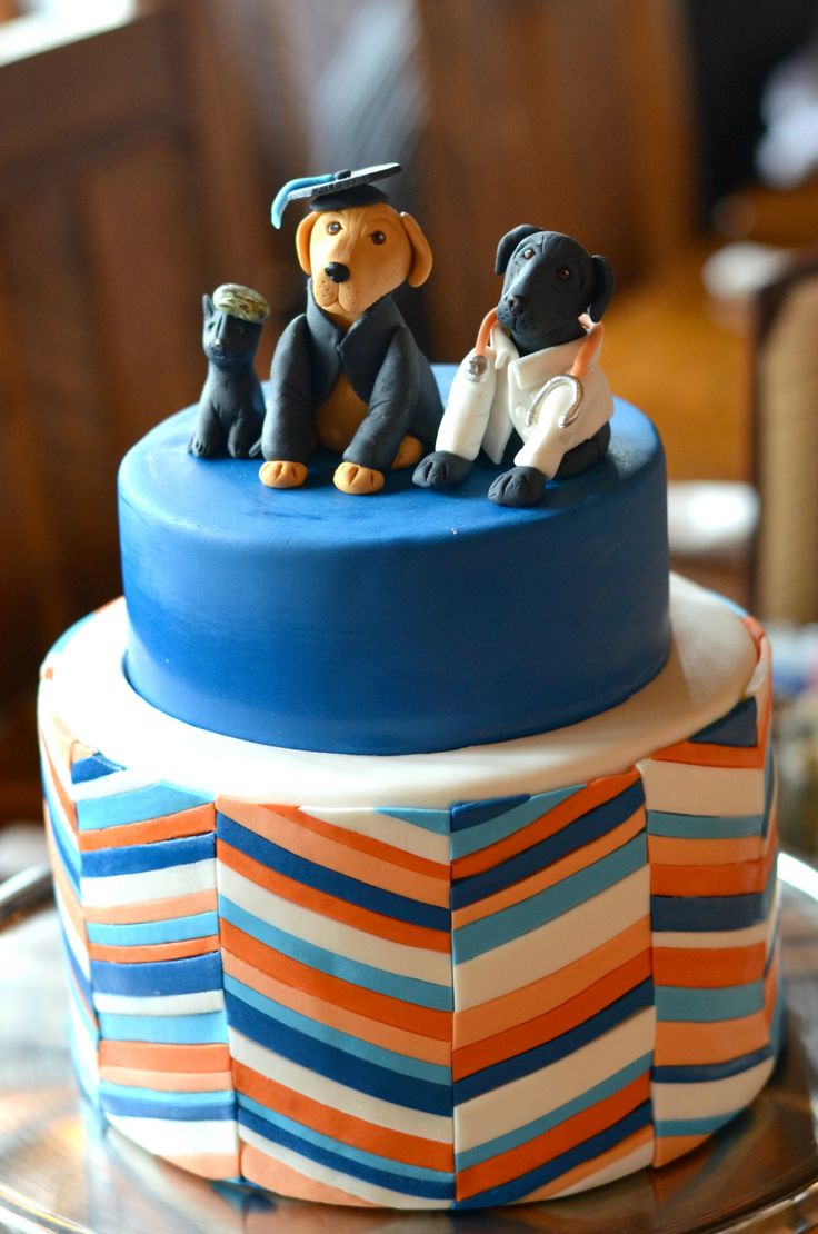 University of Illinois Graduation Cake