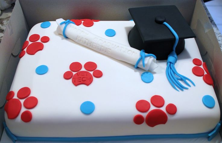 Vet Tech Graduation Cake