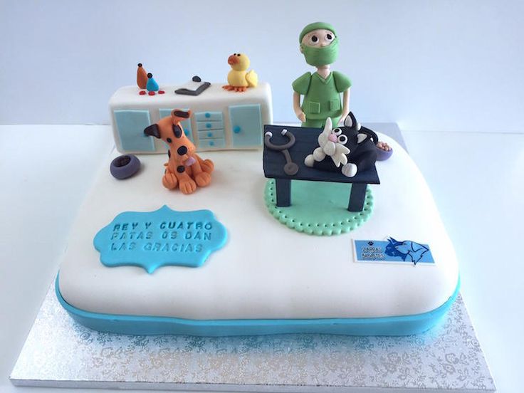 Veterinarian Graduation Cake