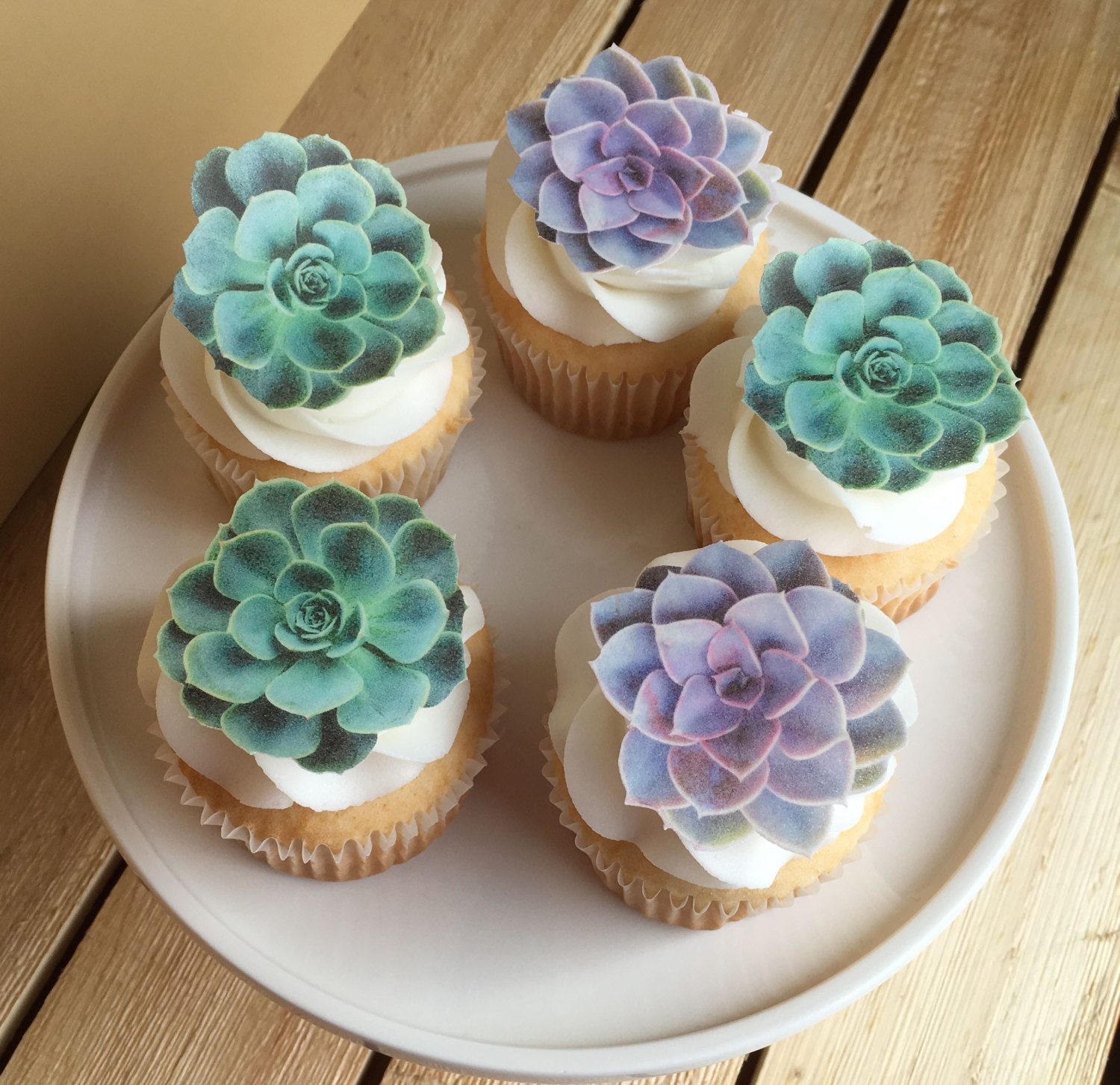 Edible succulent cupcake toppers