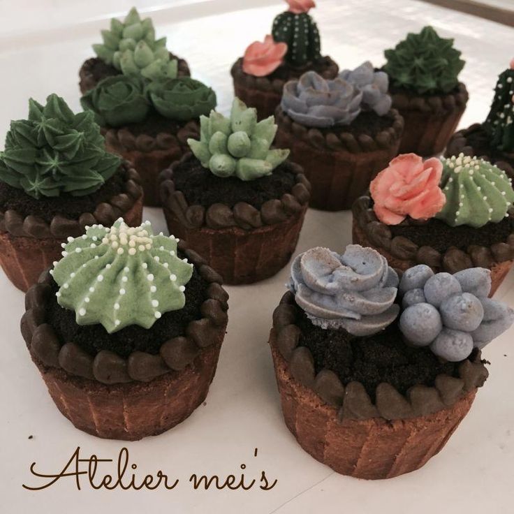 Succulent Cactus Cupcakes