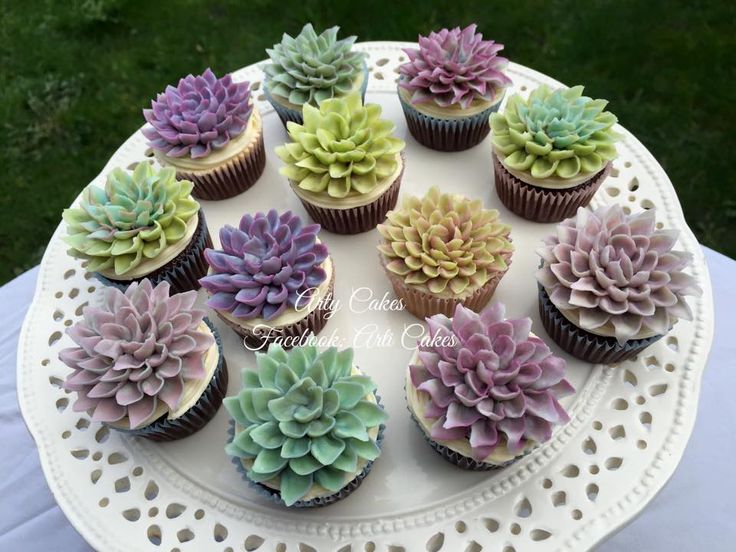 Succulent Cake and Cupcakes