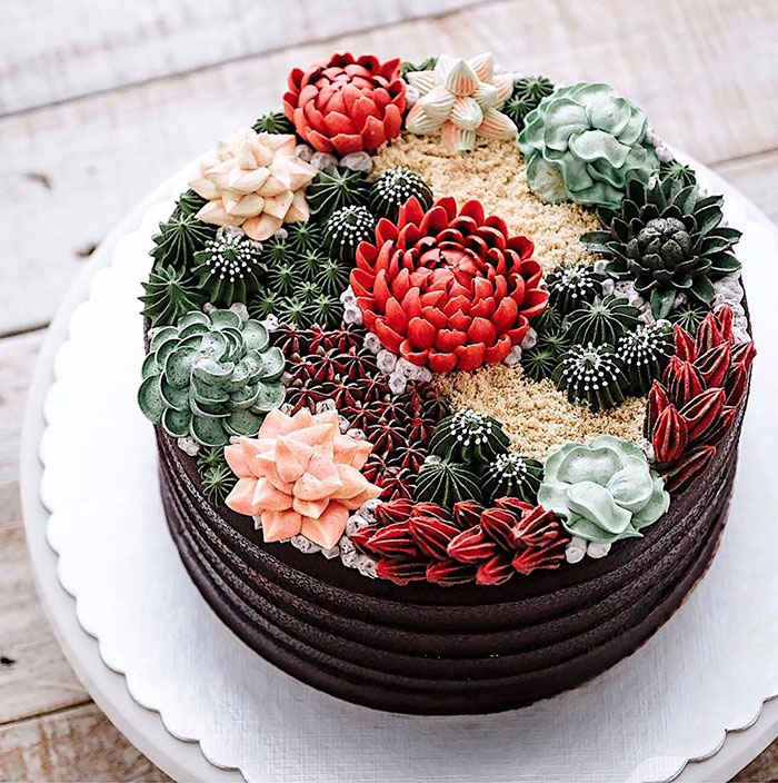 Succulent Cake