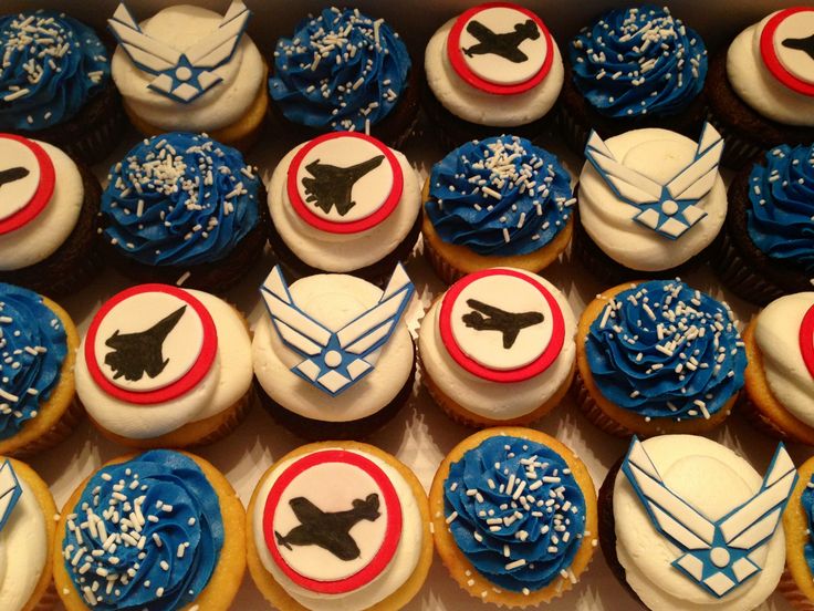 United States Air Force Cake