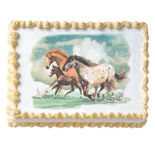 Wild Horses Birthday Cake