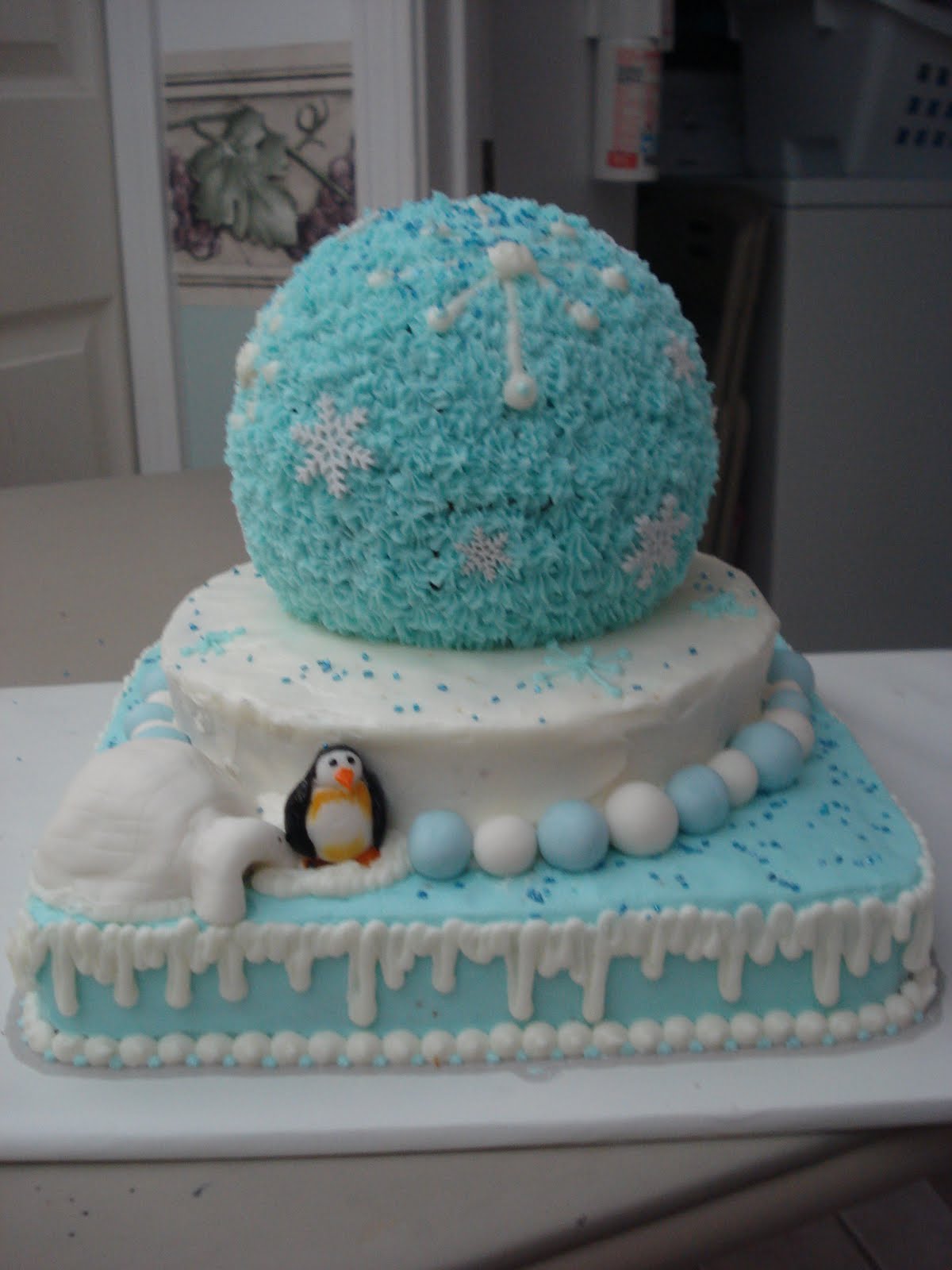 5 Photos of Winter Birthday Cakes With Icing