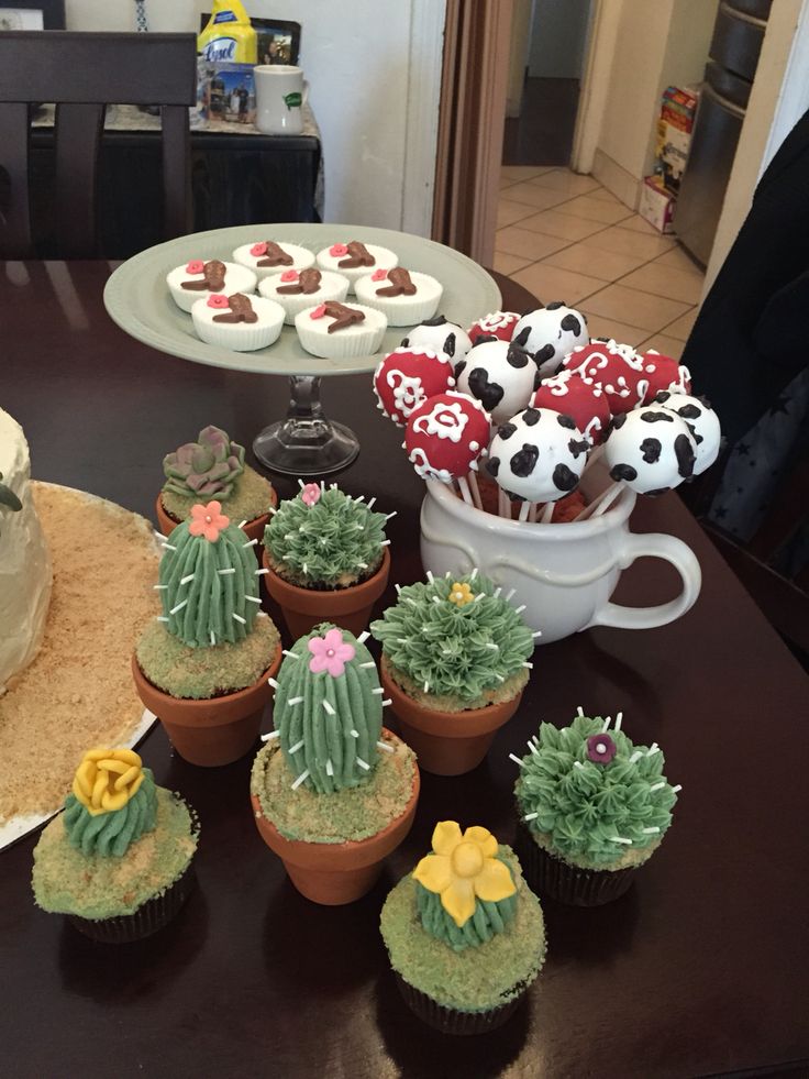 Cactus and Succulent Cakes Cupcakes