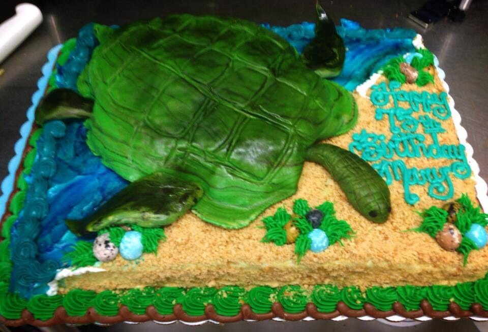 Sea Turtle Cake