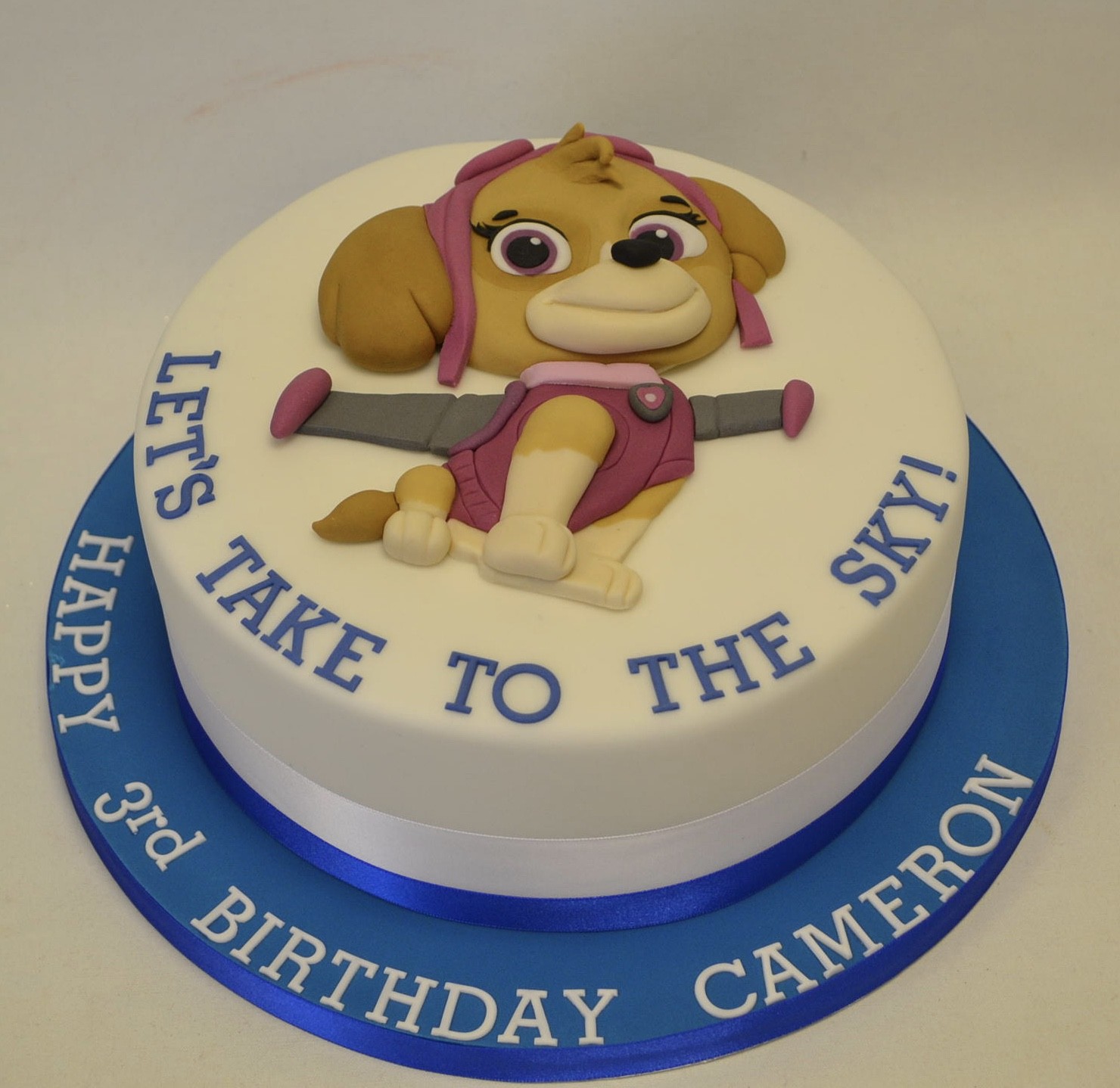 Skye PAW Patrol Birthday Cake Ideas