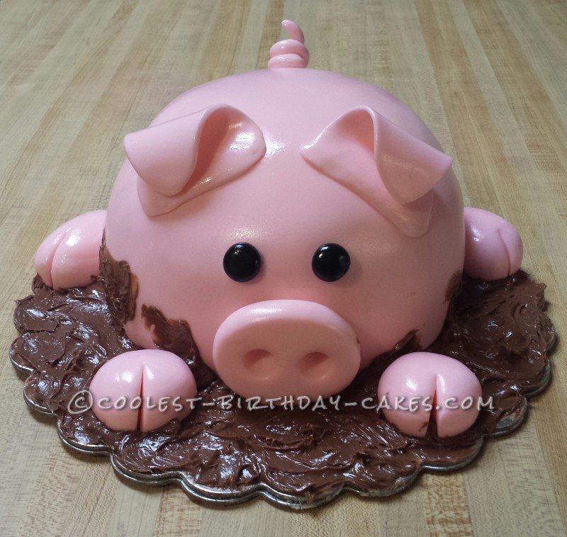 5 Photos of Coolest Birthday Cakes Pigs