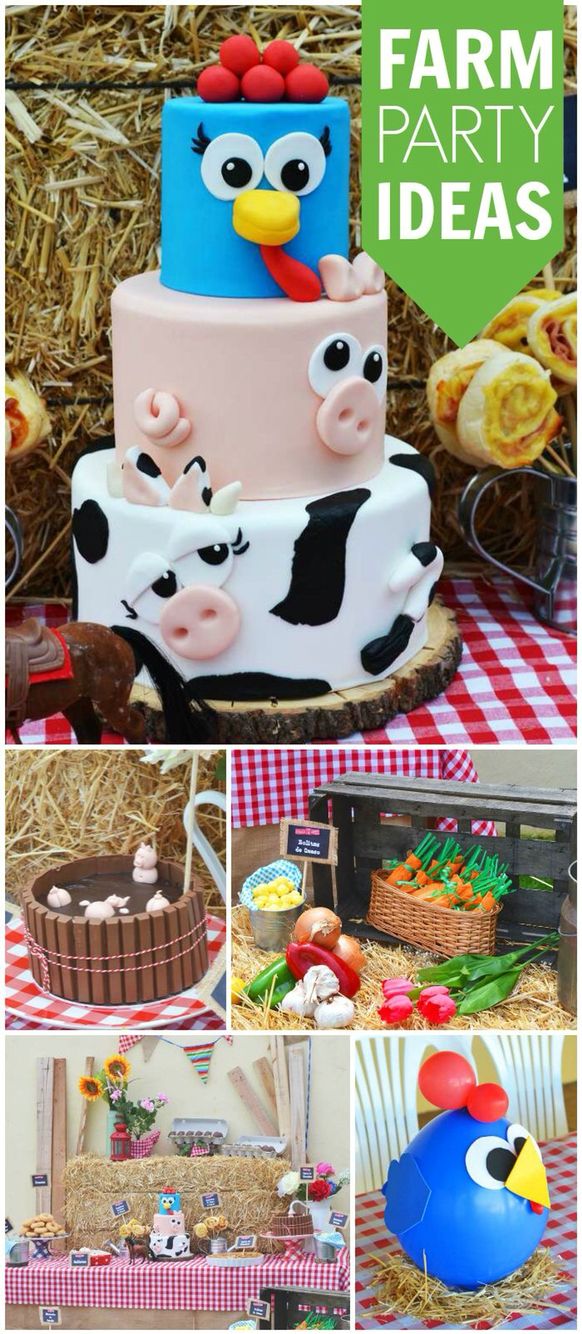 Toddler Farm Birthday Party Ideas