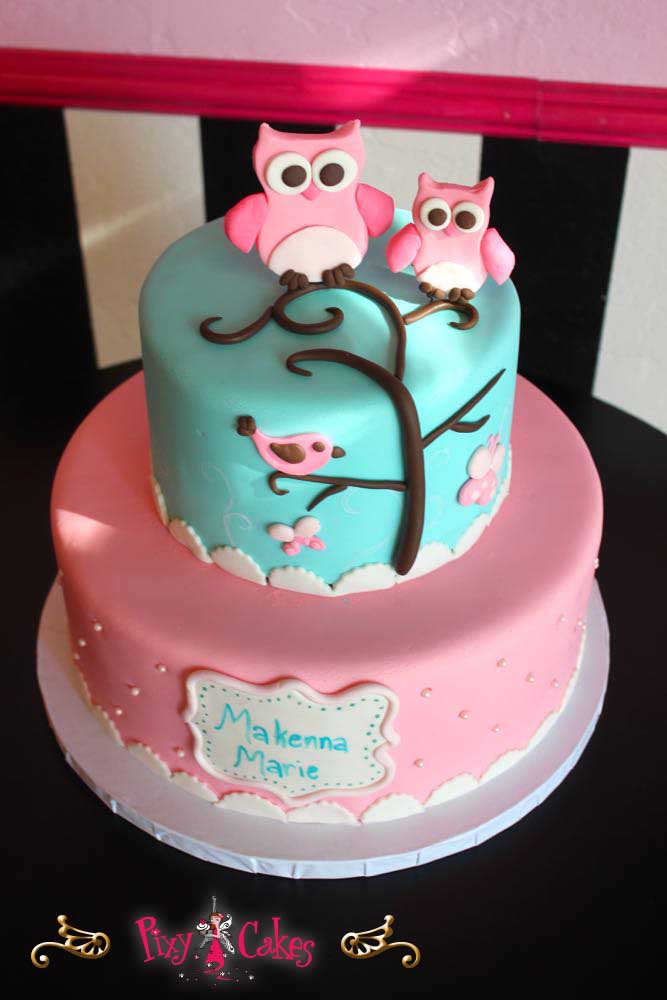 Blue Owl Birthday Cakes for Girls