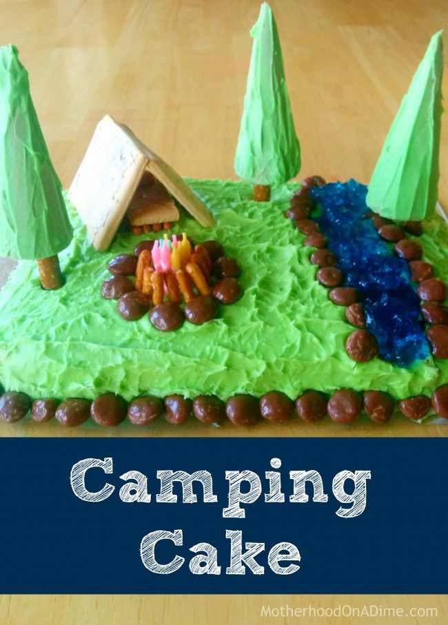 Camping Birthday Cake Ideas