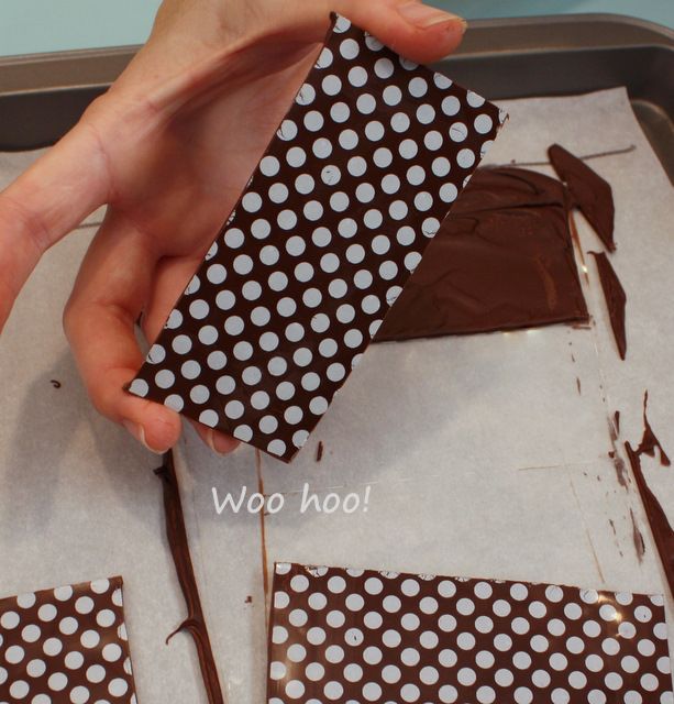 Chocolate Transfer Sheets