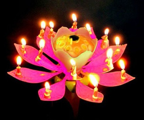 Music Birthday Candle Lotus Flower