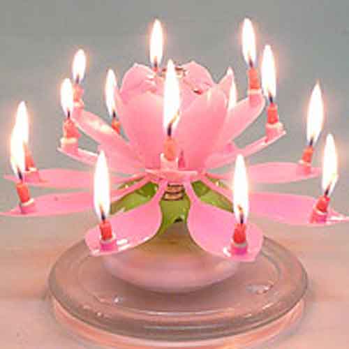 9 Photos of Lotus Candles For Birthday Cakes